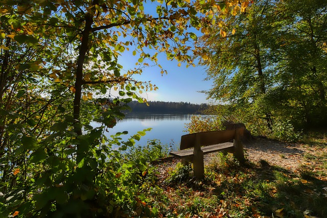 作为园内的 作为园内的