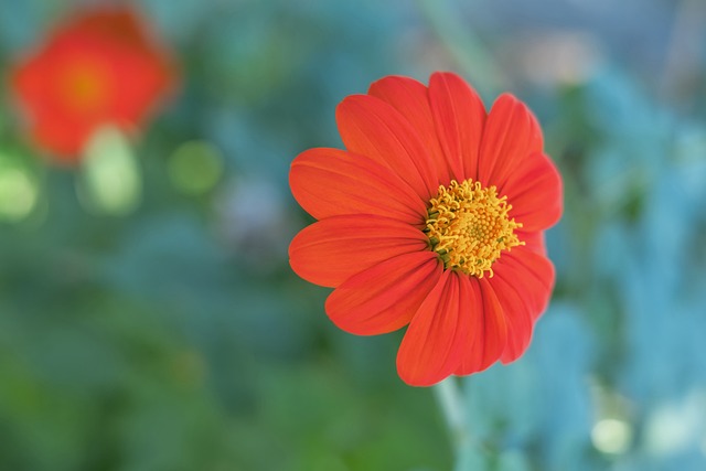 仅丰富了比 仅丰富了比