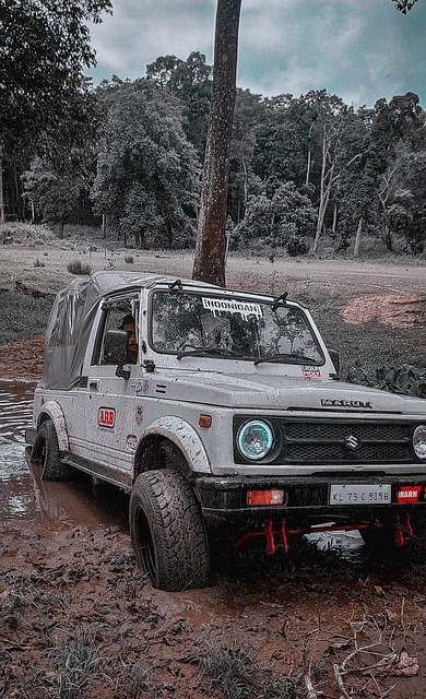 但比赛中的 但比赛中的