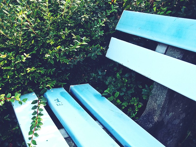 媒体人：伊万科维奇行不行确实还得看，但扬科维奇是一定不行的.