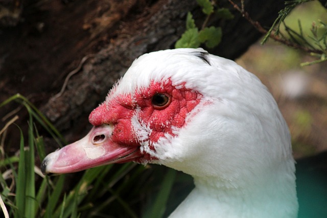 国家对女性 国家对女性