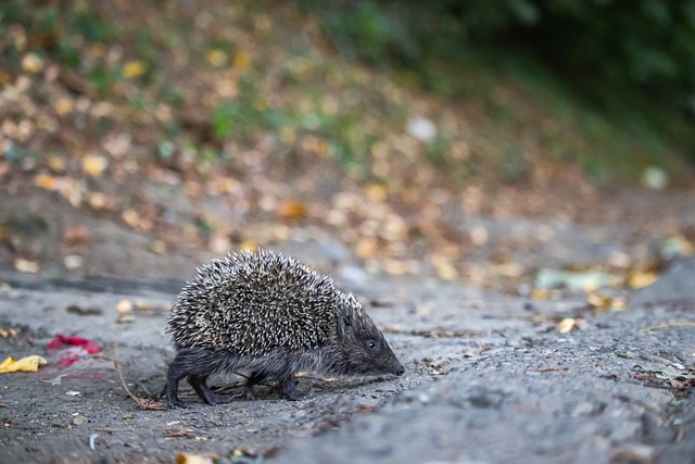 最后也是最 最后也是最