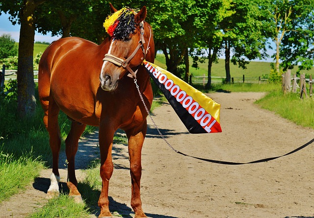 内马尔智慧 内马尔智慧