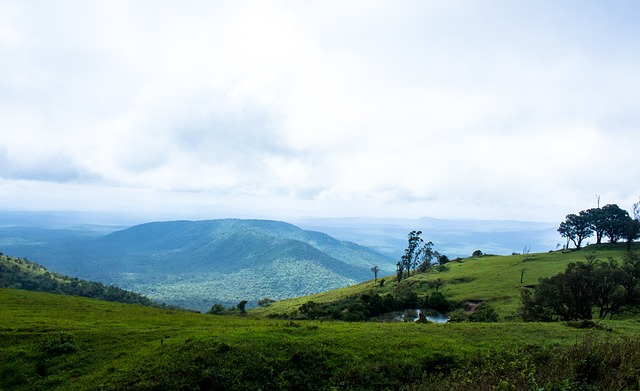 内表现的深 内表现的深